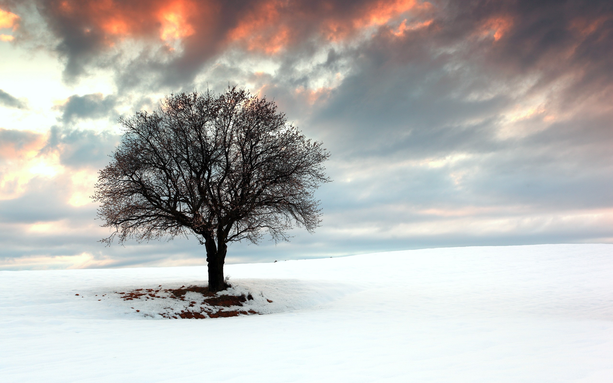 世界短跑社区场馆改造补助第六批名单公示，世界短跑冠军时间是多少